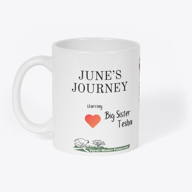 June's Journey